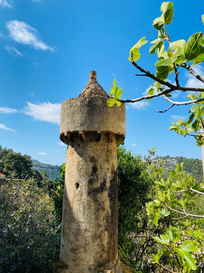 Villa Iva Lastovo Uble Buitenkant foto