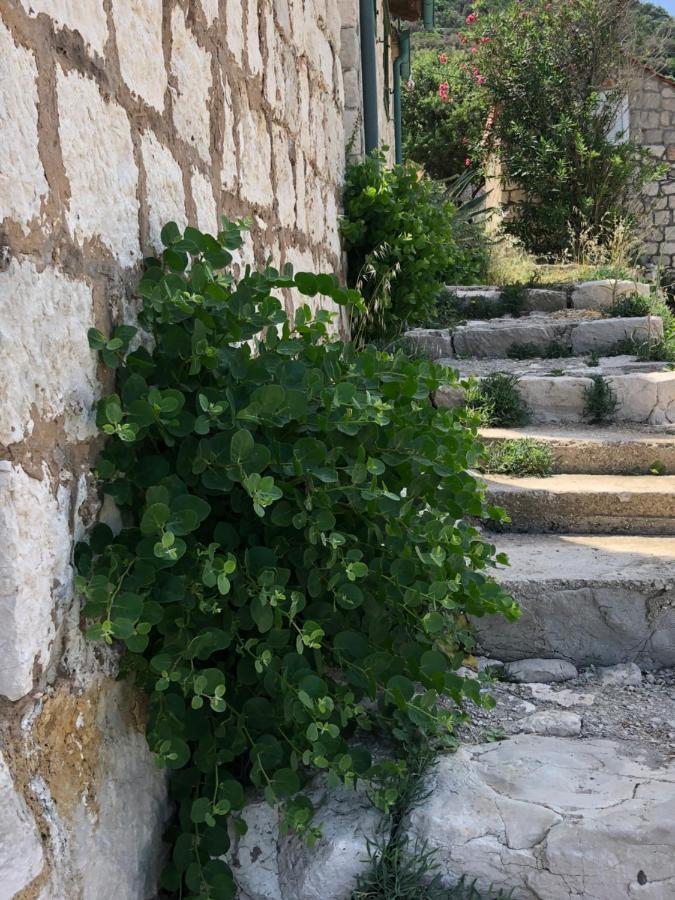 Villa Iva Lastovo Uble Buitenkant foto